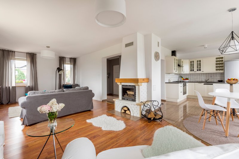 Sala acogedora y amplia, con chimenea, luz natural y